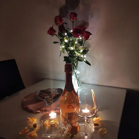 Roza Apartman Zadar