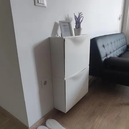 Apartment Roza *