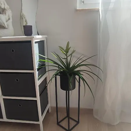 Apartament Roza Zadar